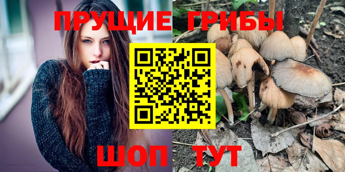 Галлюциногенные грибы Magic Shrooms  Псилоцибиновые грибы ЛСД  Вход с VPN  Железногорск 