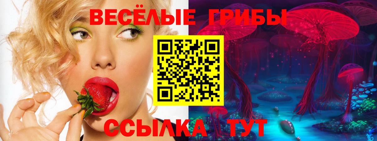 Галлюциногенные грибы Cubensis Железногорск