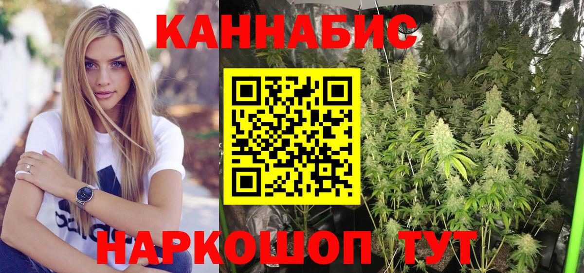 Железногорск  Бошки марихуана THC 21%  МАРИХУАНА индика  Конопля VHQ  Вход с VPN  Каннабис сатива 